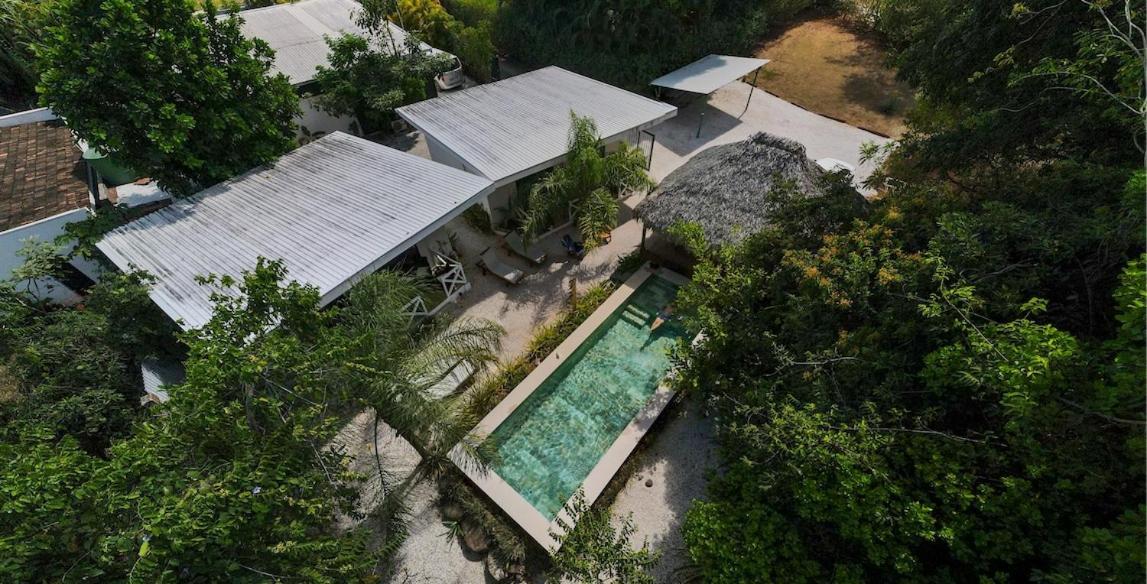 Antema Lodge Secteur Tamarindo, Piscine, Yoga, Gym, Jungle Et Paix Eksteriør bilde