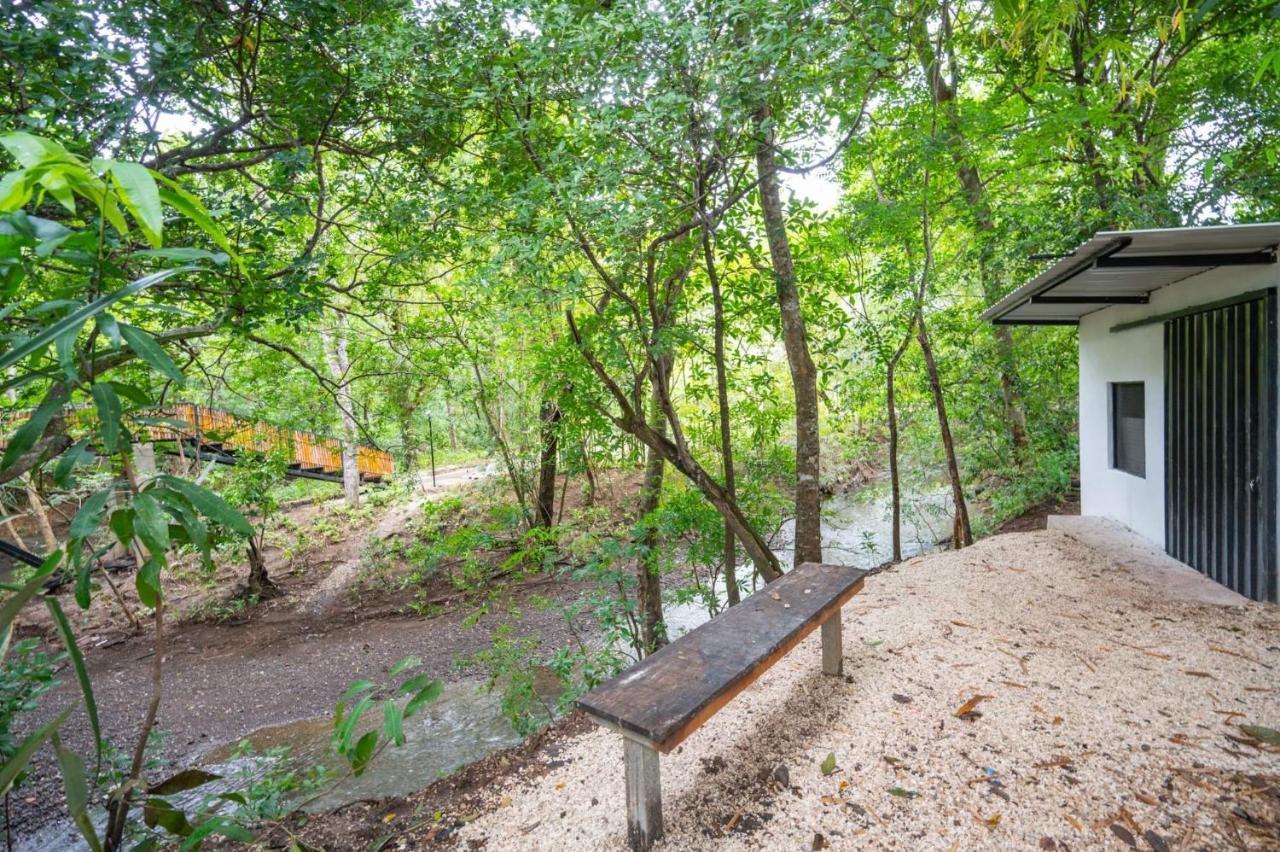 Antema Lodge Secteur Tamarindo, Piscine, Yoga, Gym, Jungle Et Paix Eksteriør bilde