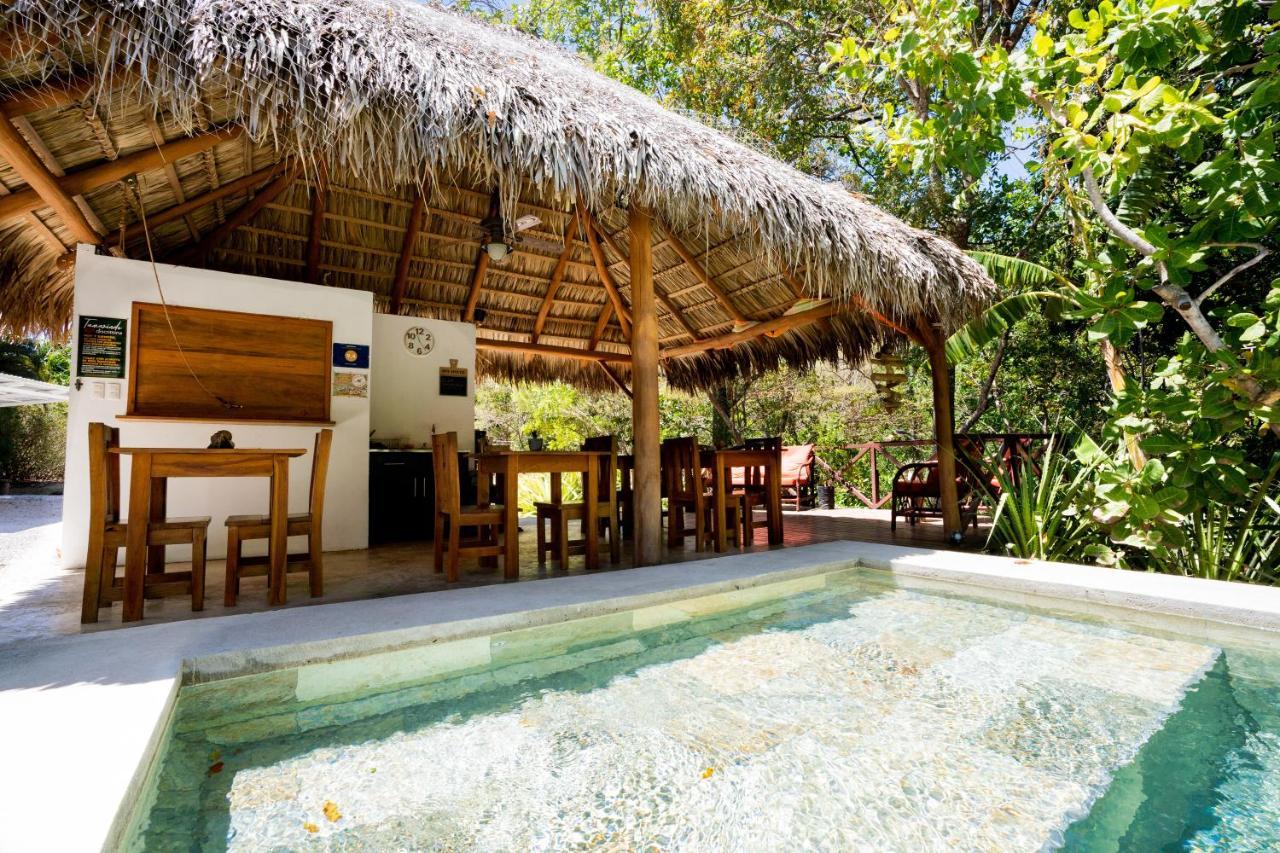 Antema Lodge Secteur Tamarindo, Piscine, Yoga, Gym, Jungle Et Paix Eksteriør bilde