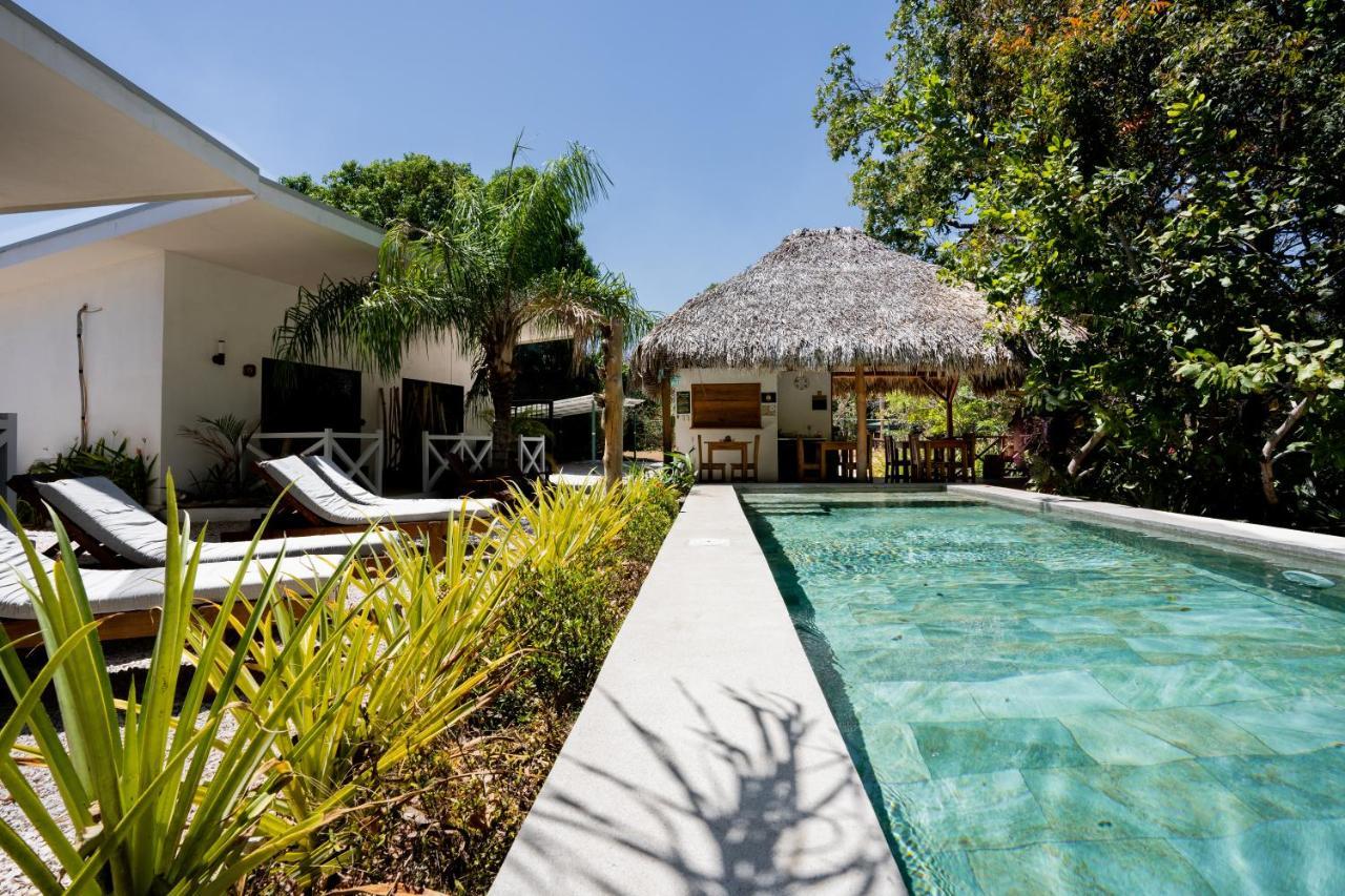 Antema Lodge Secteur Tamarindo, Piscine, Yoga, Gym, Jungle Et Paix Eksteriør bilde