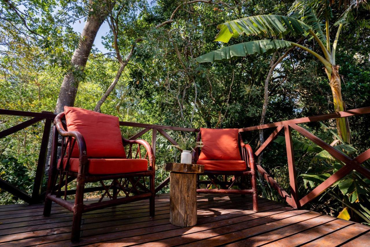 Antema Lodge Secteur Tamarindo, Piscine, Yoga, Gym, Jungle Et Paix Eksteriør bilde